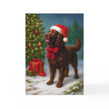 Amerikanische Water Spaniel-Weihnachtskarte