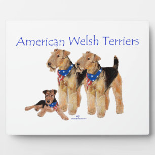 Amerikanische Welsh Terrier Fotoplatte