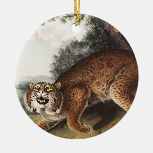Amerikanische Wildkatze (Lynx Rufus) Illustration Keramik Ornament (Vorne)
