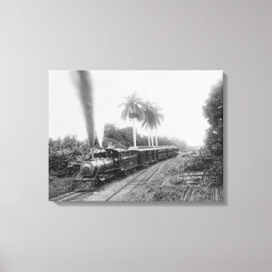 Amerikanische zentrale Eisenbahn Pans in Guatemala Leinwanddruck
