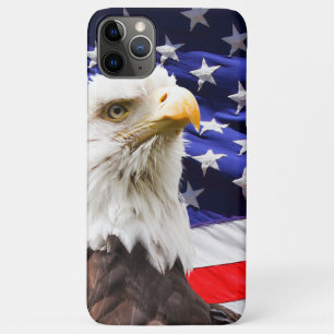 Amerikanischer Adler mit amerikanischem Flaggenhin title_seo2