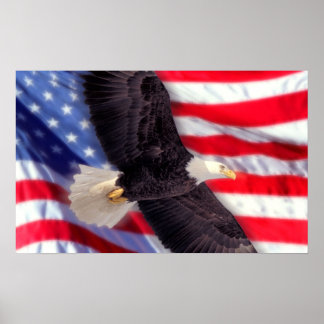 Amerikanischer Adler mit amerikanischer Flagge Poster