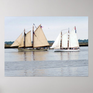 Amerikanischer Adler und Adirondack III Poster