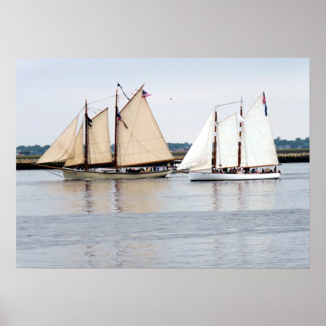 Amerikanischer Adler und Adirondack III Poster (Vorne)