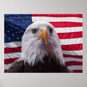 Amerikanischer Adler und Flagge Poster