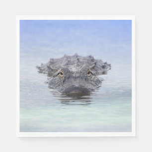 Amerikanischer Alligator – Lake Apopka Wildlife Dr Serviette