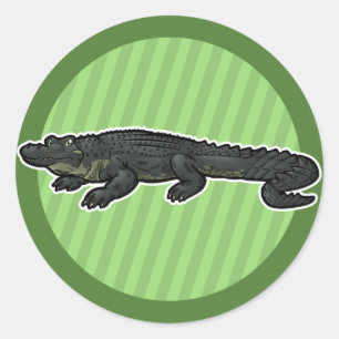 Amerikanischer Alligator Runder Aufkleber