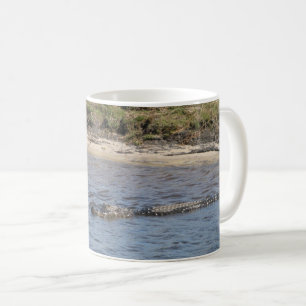 Amerikanischer Alligator schwimmt in einem Marschf Kaffeetasse