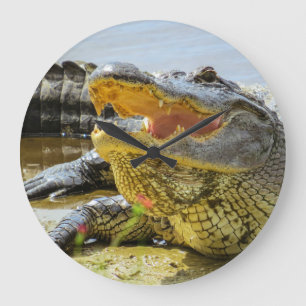 Amerikanischer Alligator vertraulich Große Wanduhr