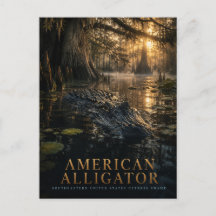 Amerikanischer Alligator Zypressensumpf TIERE