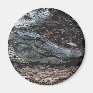 Amerikanischer Alligatormagnet Magnet