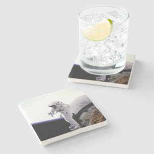 Amerikanischer Astronaut Steinuntersetzer