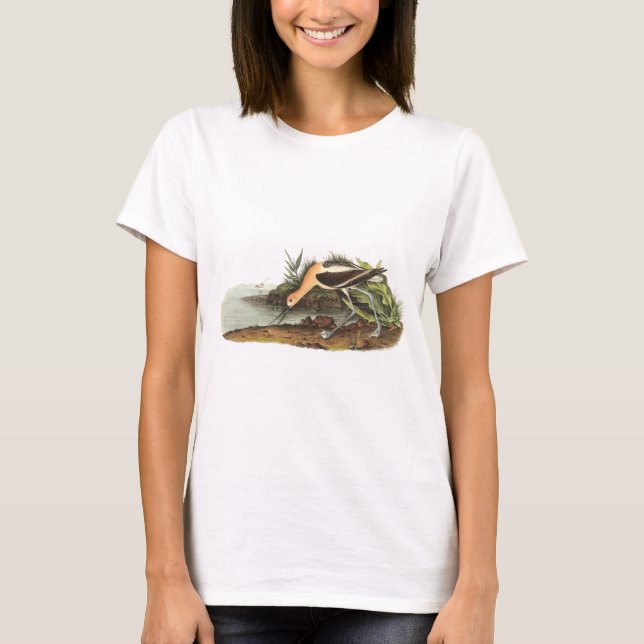Amerikanischer Avocet durch Audubon T-Shirt (Vorderseite)