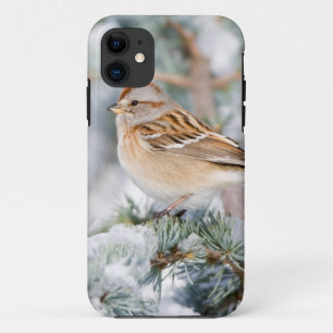 Amerikanischer Baumammer im Winter Case-Mate iPhone Hülle