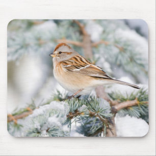 Amerikanischer Baumspatz im Winter Mousepad