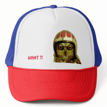 AMERIKANISCHER BIKER-KAUZ