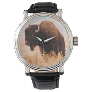 Amerikanischer Bison (Bison Bison) -Herde in Teton Armbanduhr