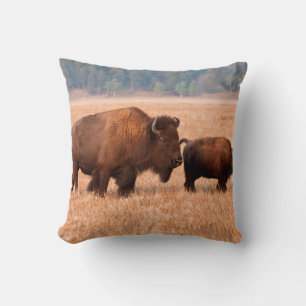Amerikanischer Bison (Bison bison) Kuh und Kalb Kissen
