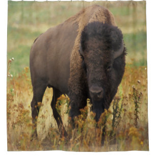 Amerikanischer Bison-Duschvorhang Duschvorhang