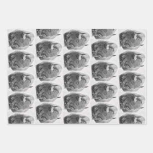 Amerikanischer Bison Geschenkpapier Set