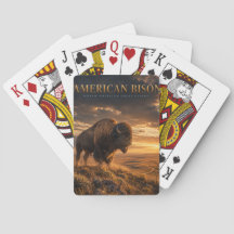 Amerikanischer Bison Great Plains TIERE