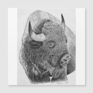 Amerikanischer Bison Magnetkarte