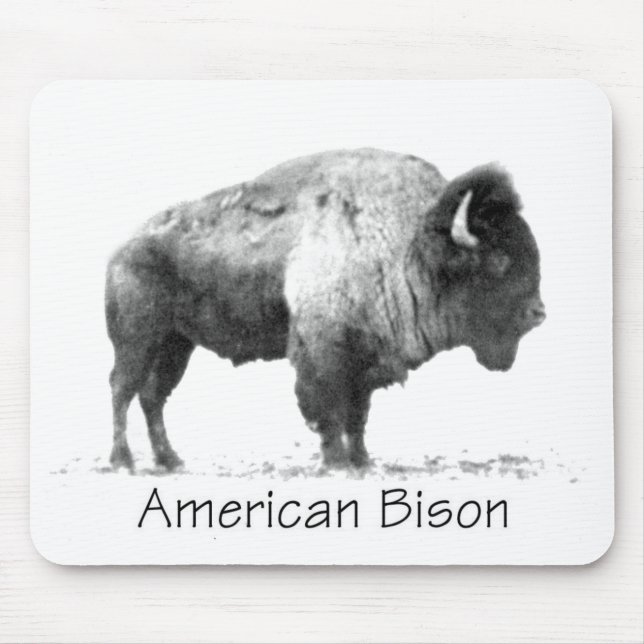 Amerikanischer Bison Mousepad (Vorne)