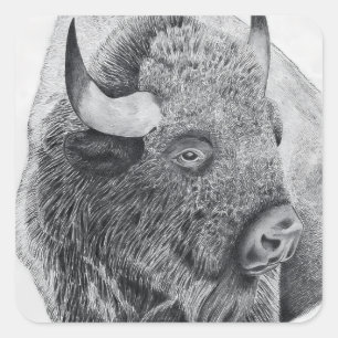 Amerikanischer Bison Quadratischer Aufkleber