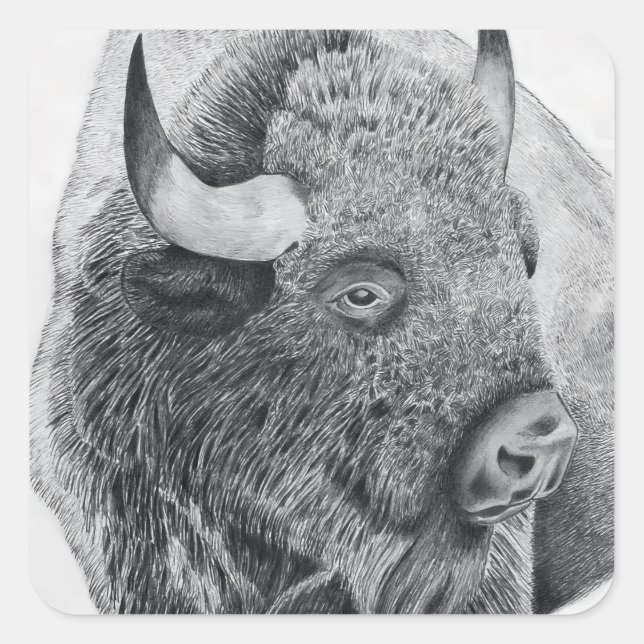 Amerikanischer Bison Quadratischer Aufkleber (Vorderseite)