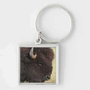 Amerikanischer Bison, South Dakota Schlüsselanhänger