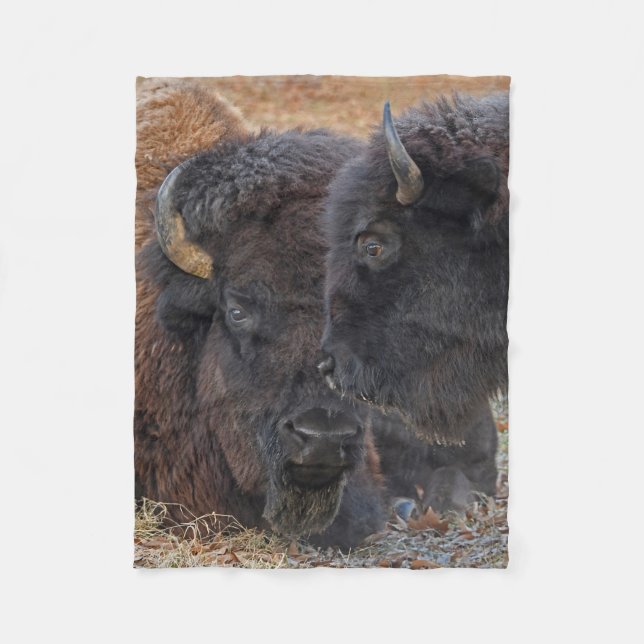 Amerikanischer Bison Stier u. Kuh-verbundene Paare Fleecedecke (Vorderseite)