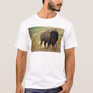 Amerikanischer Bison T-Shirt