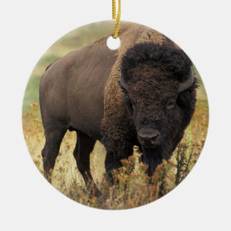 Amerikanischer Bison-Verzierung Keramikornament
