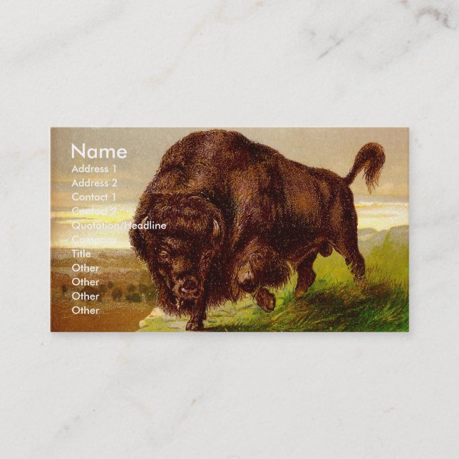 Amerikanischer Bison Visitenkarte (Vorderseite)