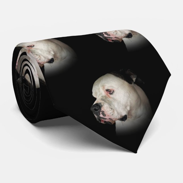 Amerikanischer Bulldog auf schwarz Krawatte (Gerollt)