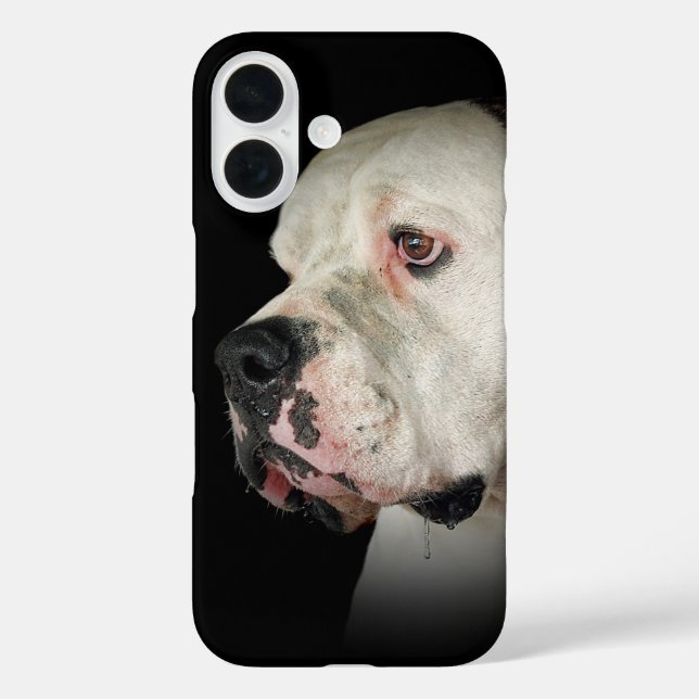 Amerikanischer Bulldog title_seo2 (Rückseite)