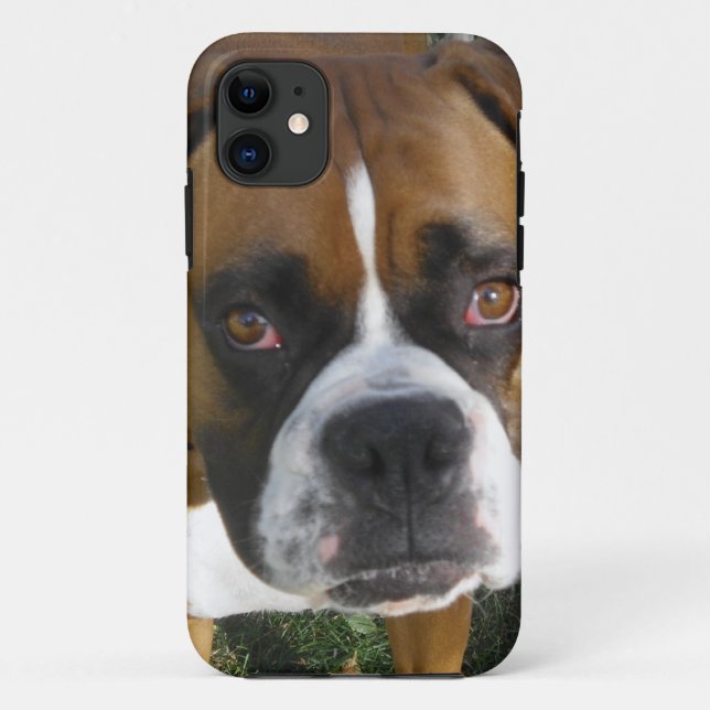 Amerikanischer Bulldogge iPhone 5 Fall Case-Mate iPhone Hülle (Rückseite)