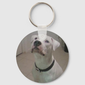 Amerikanischer Bulldogge-Schlüsselanhänger Schlüsselanhänger