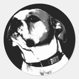 Amerikanischer Bulldoggenaufkleber Runder Aufkleber