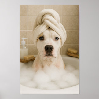amerikanischer Bully-Hund süß lustig Badezimmer De Poster