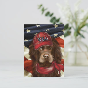 Amerikanischer Cocker Spaniel  Postkarte