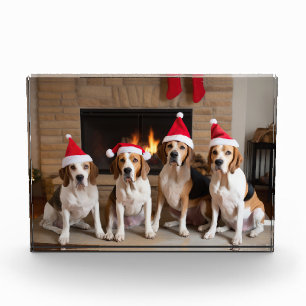 Amerikanischer Englisch Foxhound Kamin Weihnachten Fotoblock