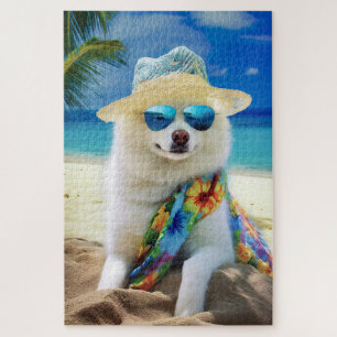 Amerikanischer Eskimo auf dem Strand, Sommergesche