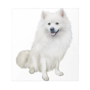Amerikanischer Eskimo-Hund (A) Notizblock