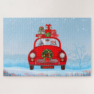 Amerikanischer Eskimo Hund in Auto mit dem Weihnac