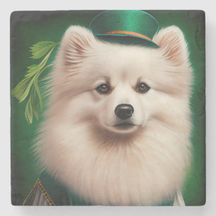 Amerikanischer Eskimo-Hund in St. Patrick’s Day-Kl Steinuntersetzer
