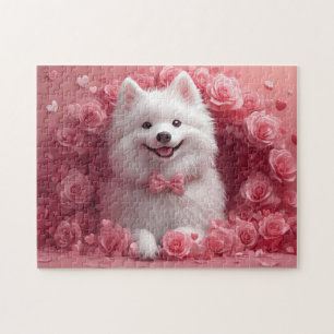 Amerikanischer Eskimo mit Rosen - Valentinstag
