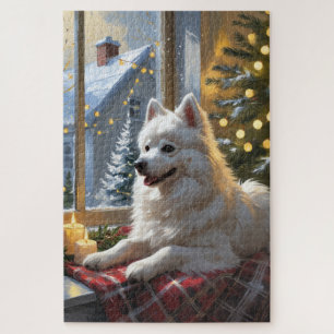 Amerikanischer Eskimo mit Weihnachtsbeleuchtung Ur