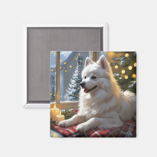 Amerikanischer Eskimo mit Weihnachtslichtern Urlau Magnet