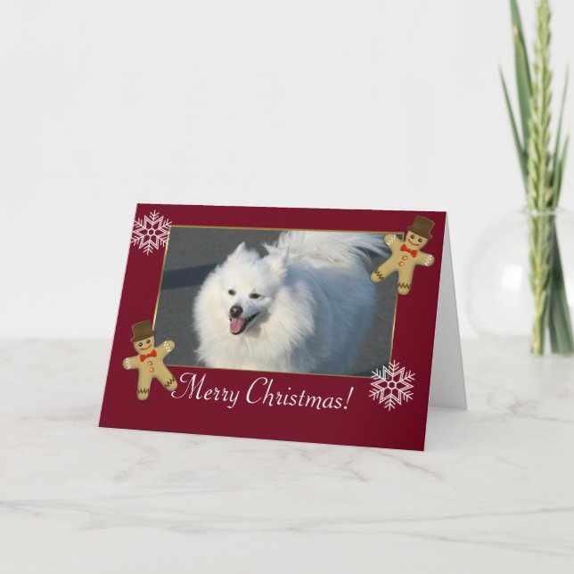 Amerikanischer Eskimohund der frohen Weihnachten (Vorderseite)
